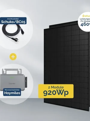 Neue Kollektion Balkonkraftwerk 800W 2x PV-Modul Jolywood und Hoymiles HF-800