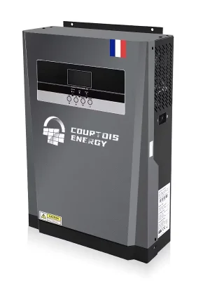 3.000 W 24 V Hybrid-Lade-Wechselrichter mit MPPT-Regler Kostenloser Rückversand