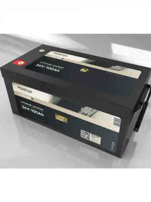Nur Für Kurze Zeit LiFePO₄ Premium Batterie FORSTER F36-100X 38,4 V/100 Ah 200 A-BMS-2.0