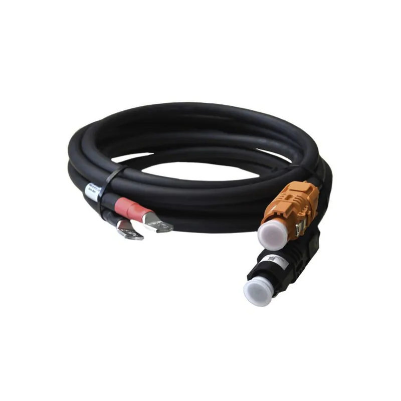 Super-Preis BYD Kabelset mit Stecker 35mm², 2 x 3000mm M8