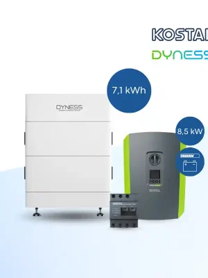Neue Ware Dyness 2.0 Tower T7 + KOSTAL PLENTICORE plus 8.5 G2 inkl. KSEM und Aktivierungscode