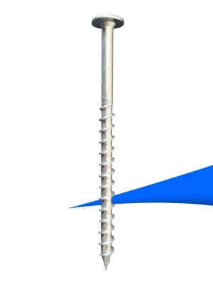 Kostenfreie Lieferung HSPT TK A2 TX40 Tellerkopfschrauben 8 x 120 - 50 Stück