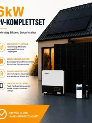 Direktkauf 6000W PV-Komplettset mit 6000W Wechselrichter + Jolywood 450W Module