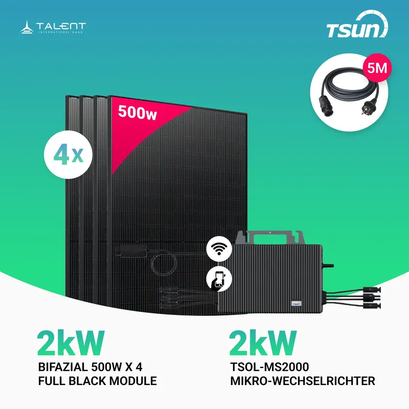 2000W Balkonkraftwerk mit Speicher - 4x 500W Bifazial Transparentes Glas-Glas Full Black Modul & TSUN 2000W TSOL-MS2000 Mikro-Wechselrichter Letzte Chance