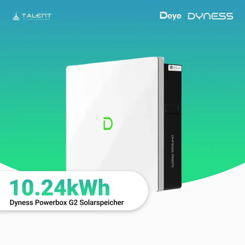 Günstig Dyness Powerbox G2 10,24 kWh Heimspeicher
