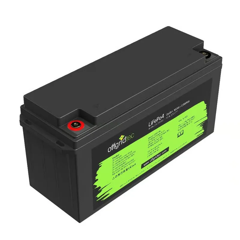 Jetzt Kaufen Offgridtec LifePo4 Akku 25,6/100 25,6V 100Ah BMS integriert 2560Wh