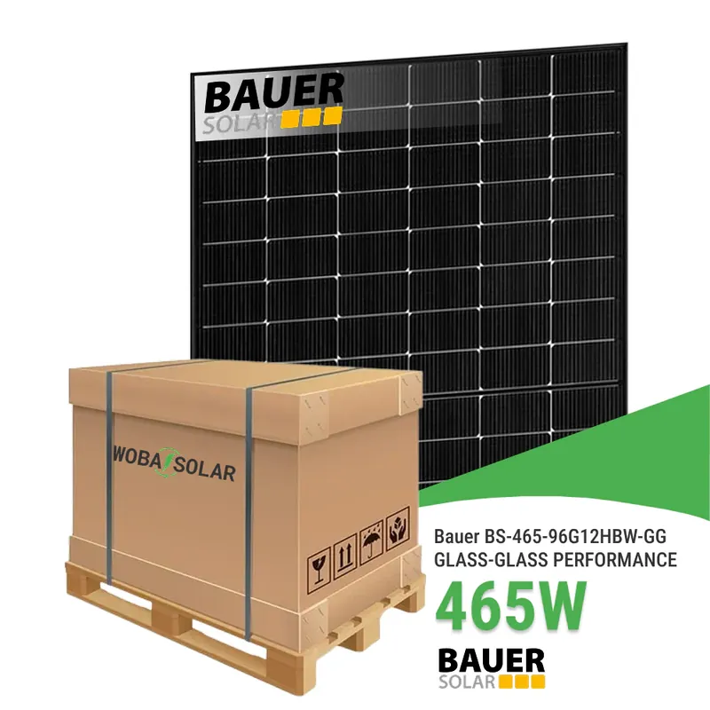 Garantierte Lieferung Bauer BS-465-96G12HBW-GG GLAS-GLAS PERFORMANCE - Palette (36 Stück)