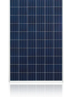 Top-Seller Solarmodule 1648x990x40 mm 60 Zeller Poly