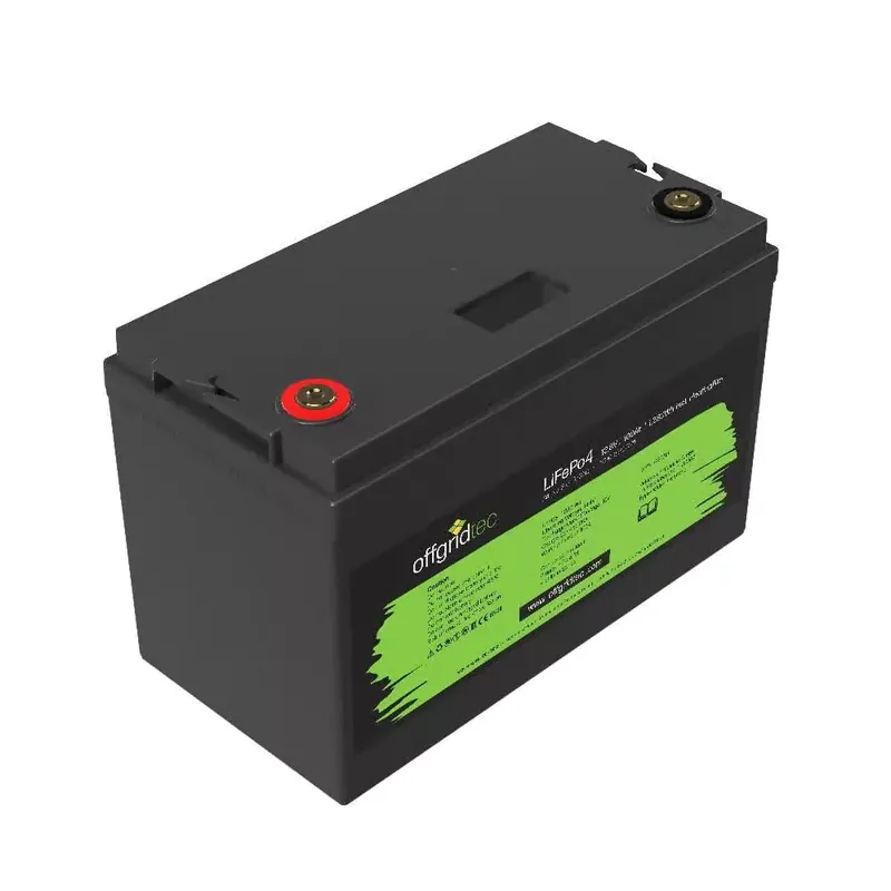 Zertifiziert 100Ah 12V LiFePO4 Pro Akku 1280Wh 12,8V mit BMS + Heizmatte